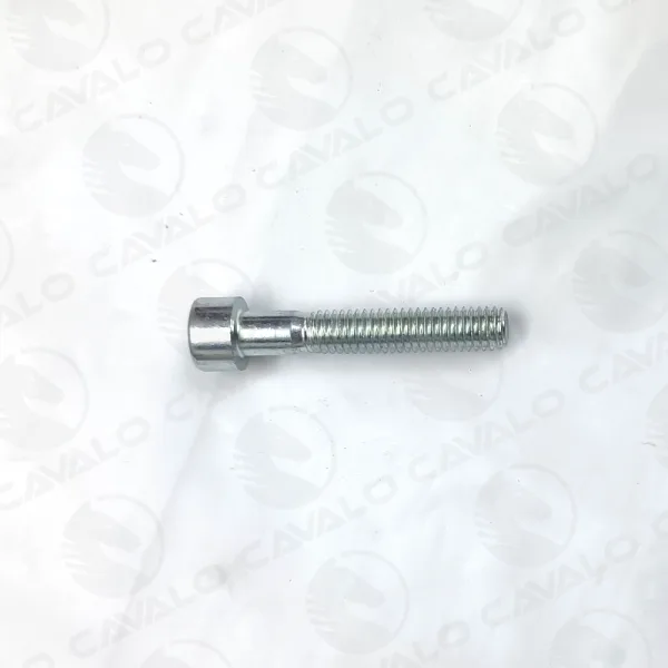Screw cylinder head inside hexagon M 6x35mm galvanized