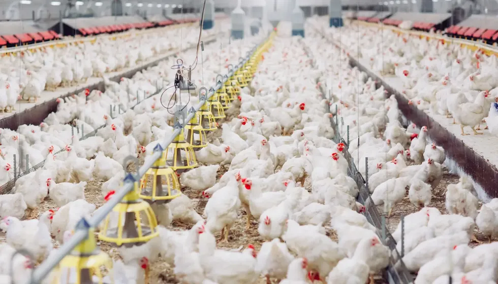 Agricultural Automation Solutions