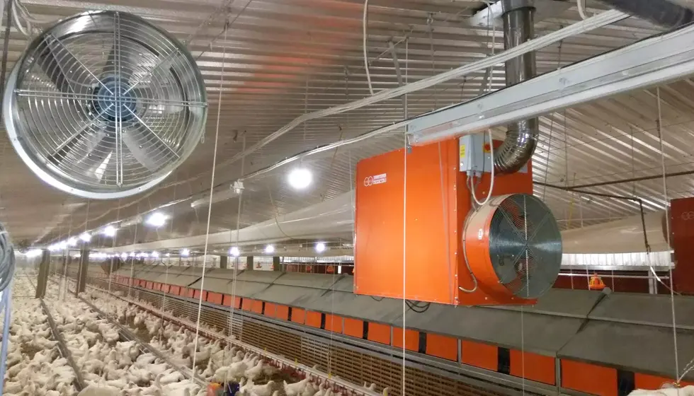 Air Quality in Agricultural Facilities